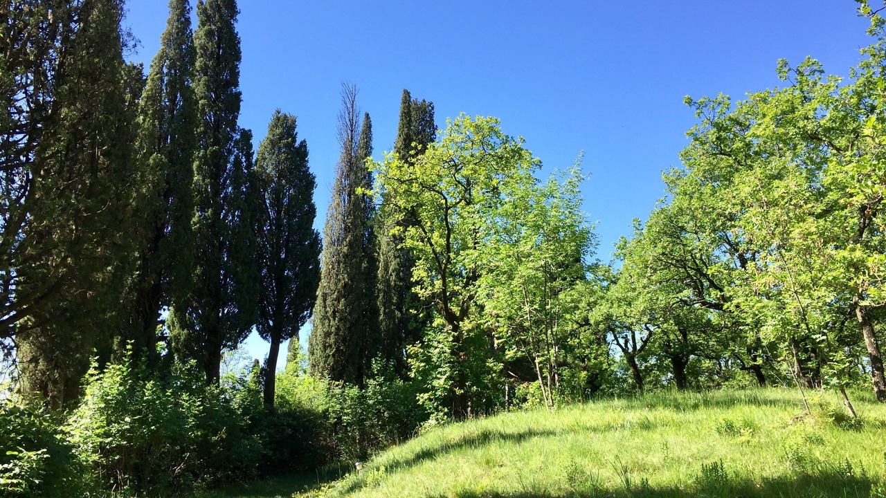 Photo of Outdoor in Toscolano Maderno