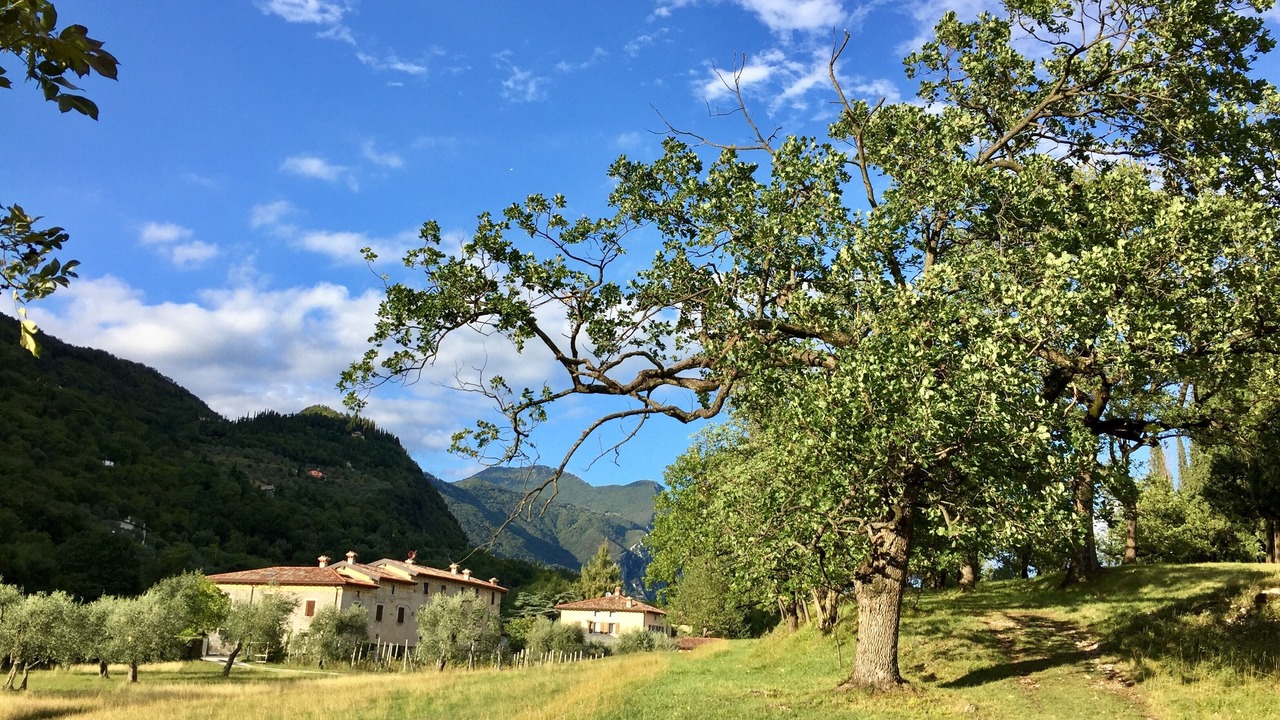 Photo of Outdoor in Toscolano Maderno