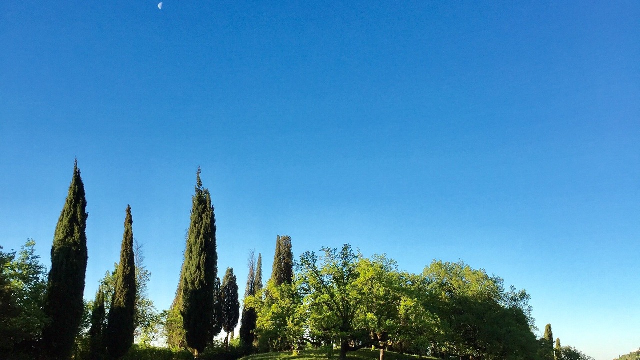 Photo of Outdoor in Toscolano Maderno
