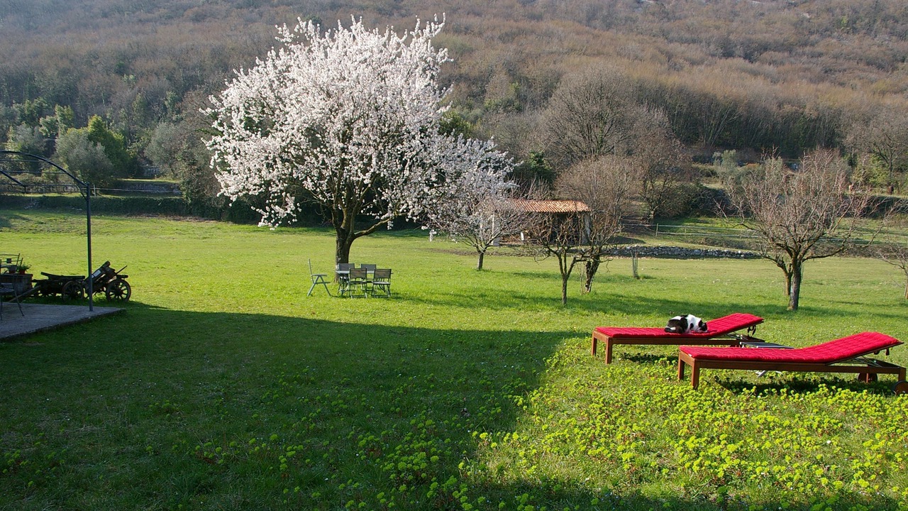Photo of Outdoor in Toscolano Maderno