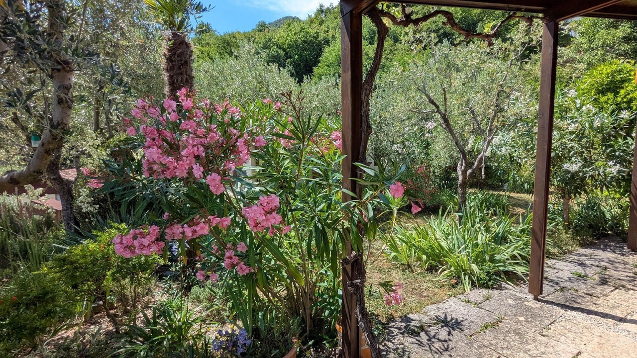 Photo of Outdoor in Aer