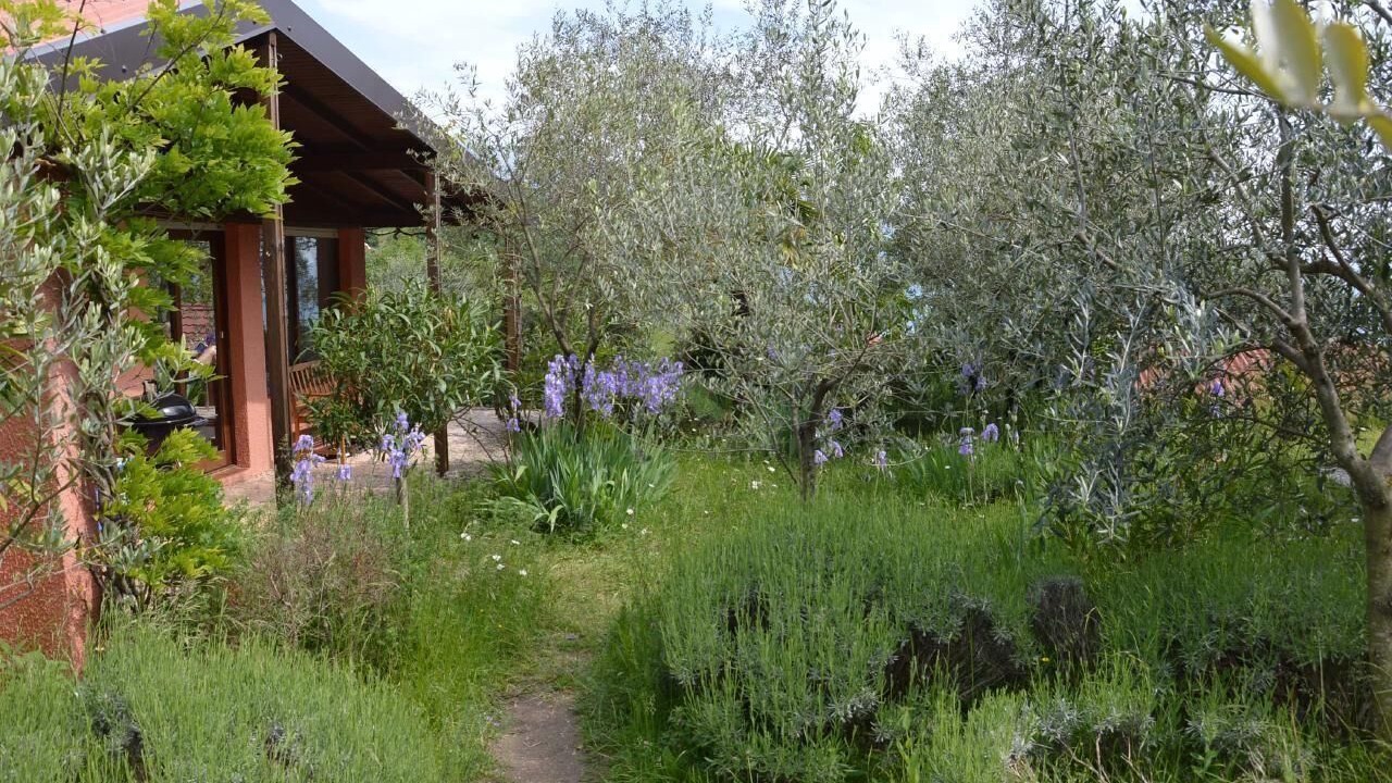 Photo of Outdoor in Aer