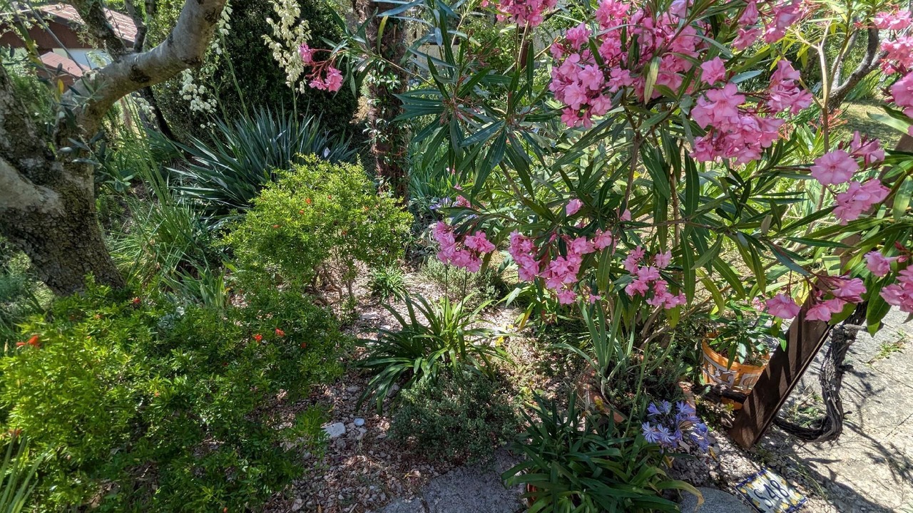 Photo of Outdoor in Aer