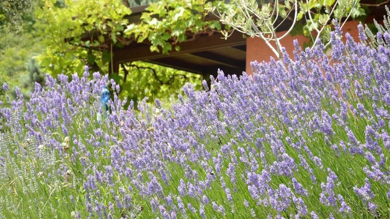 Photo of Outdoor in Aer