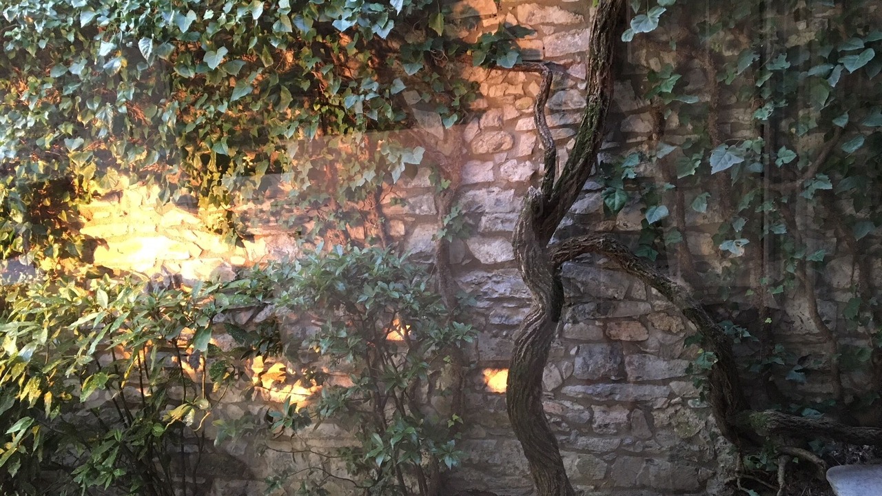 Photo of Outdoor in Blevio