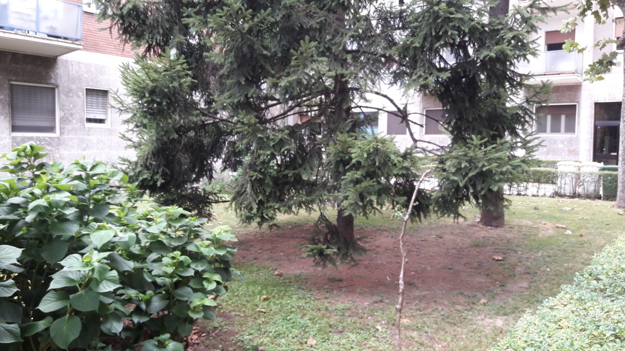 Photo of Outdoor in Crescenzago