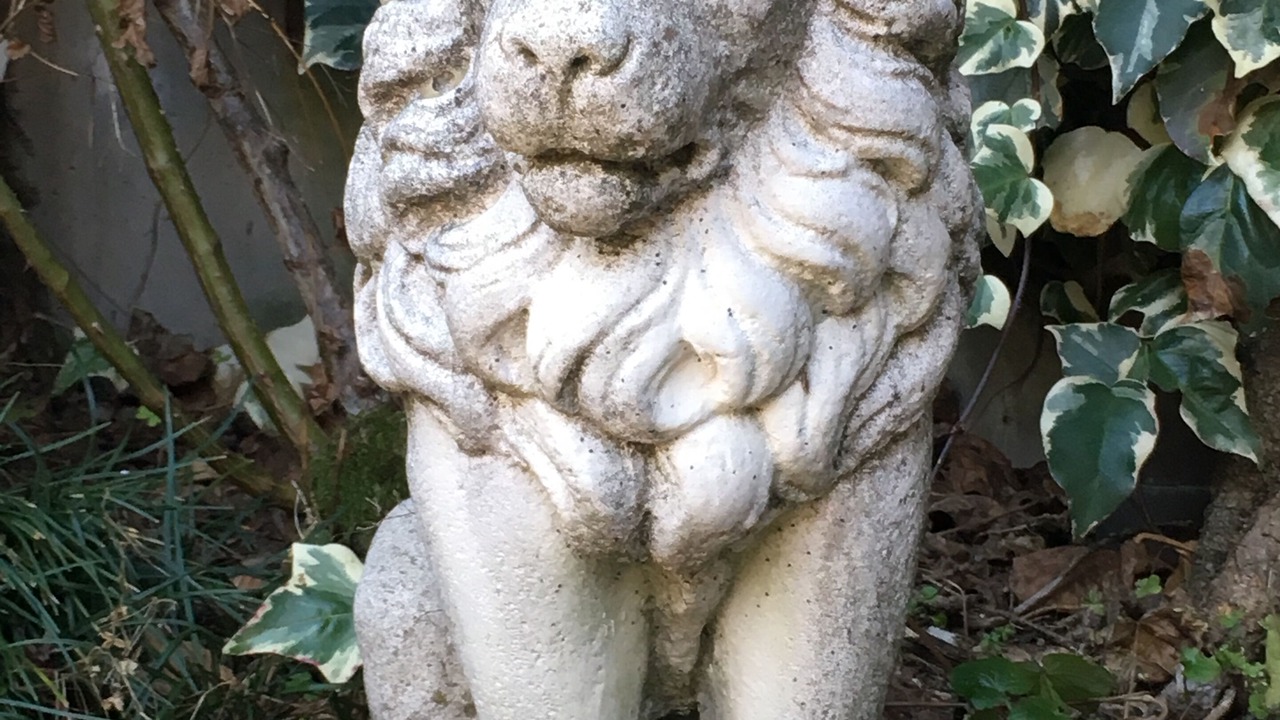 Photo of Outdoor in Agra