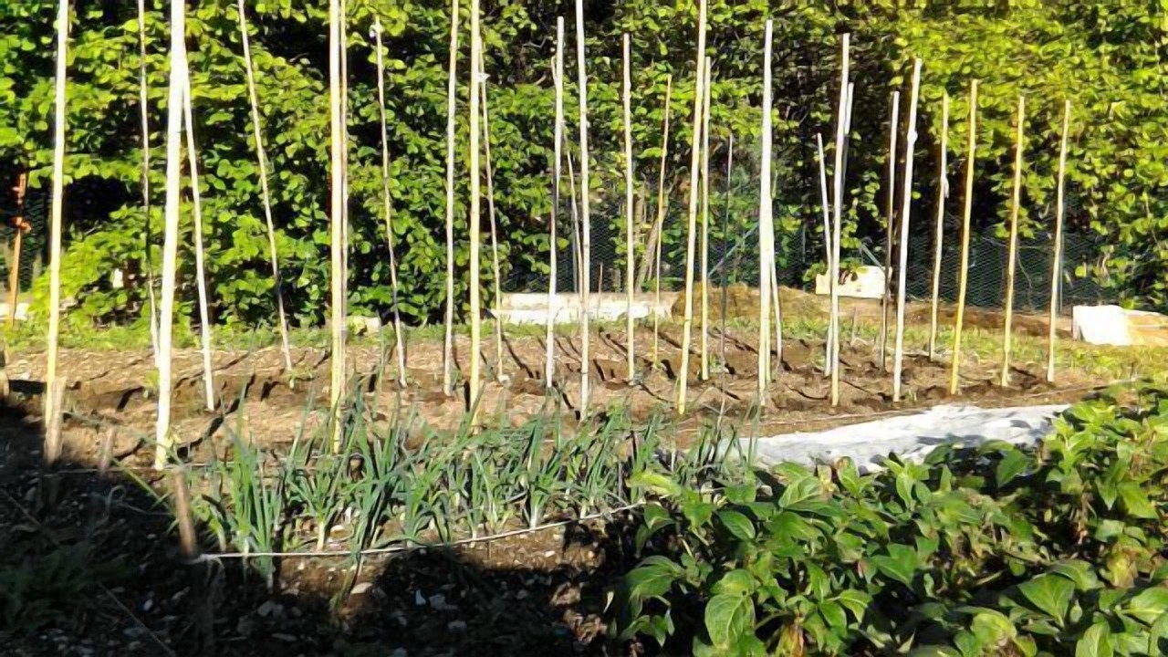 Photo of Outdoor in Monticelli Brusati