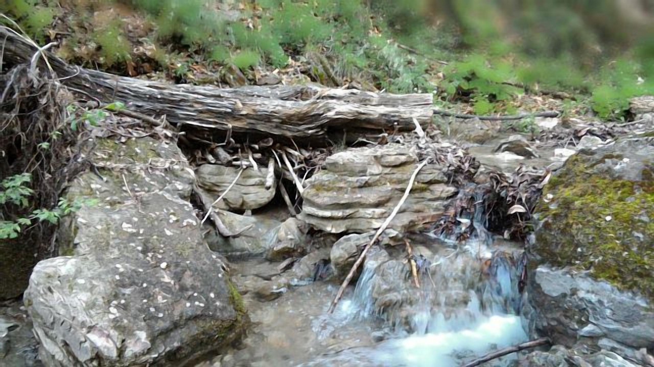 Photo of Outdoor in Monticelli Brusati