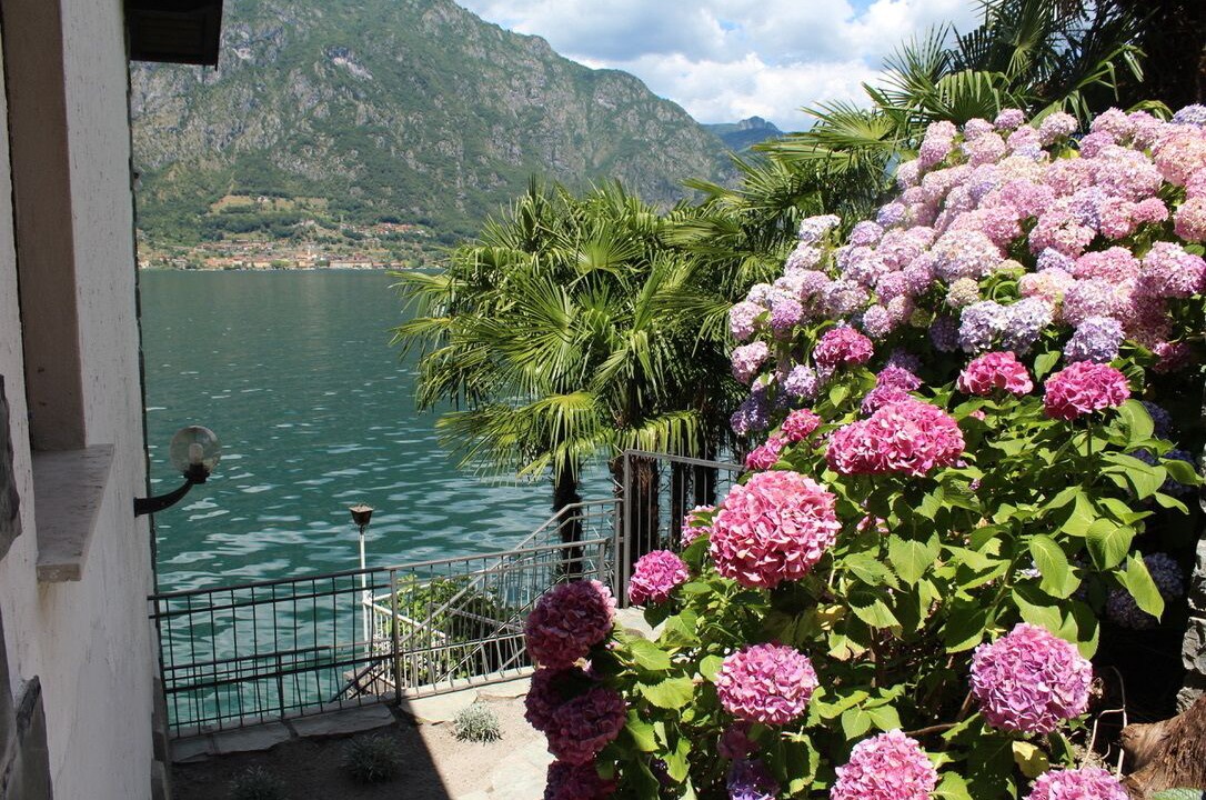 Photo of Outdoor in Claino Con Osteno