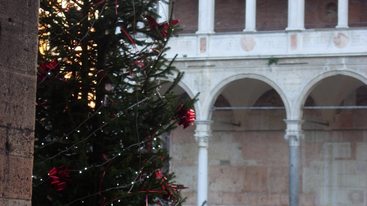 Photo of Outdoor in Cremona