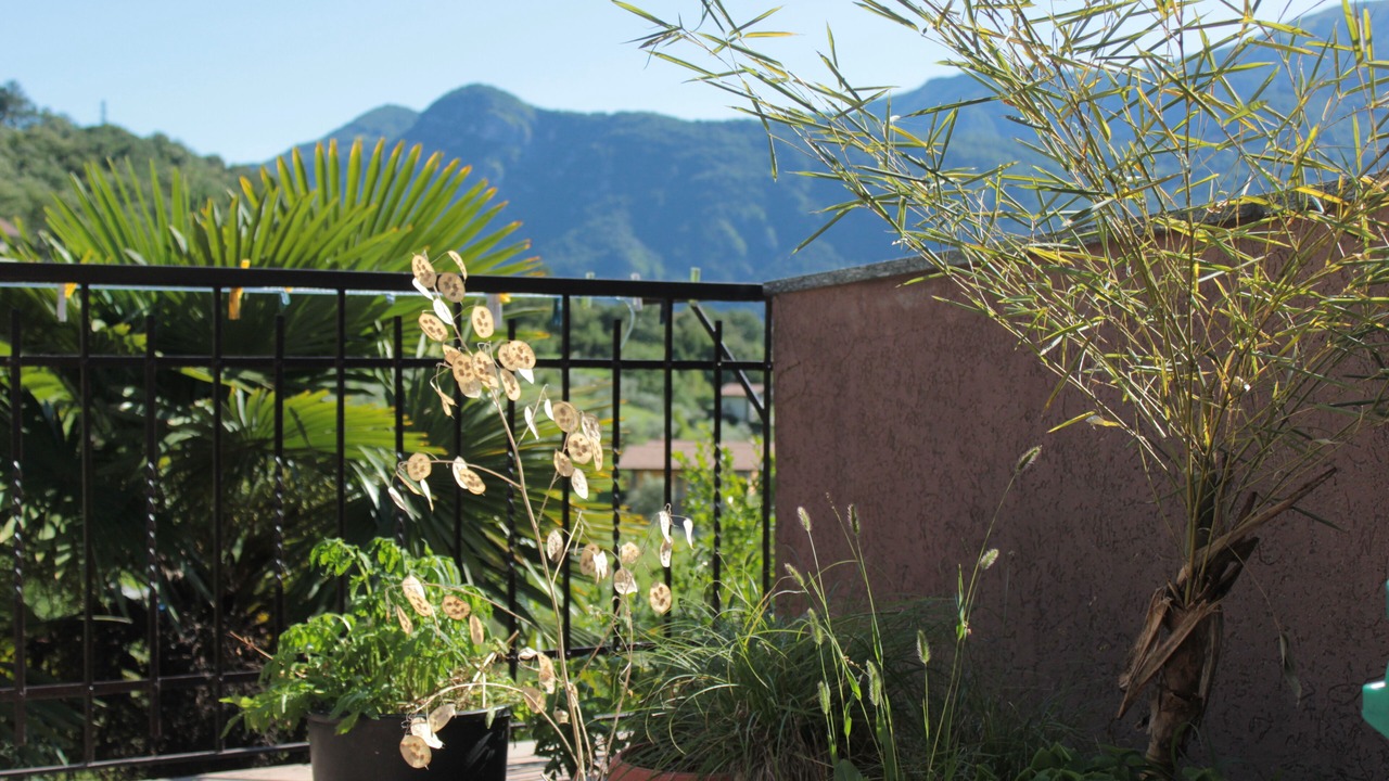 Photo of Outdoor in Lierna