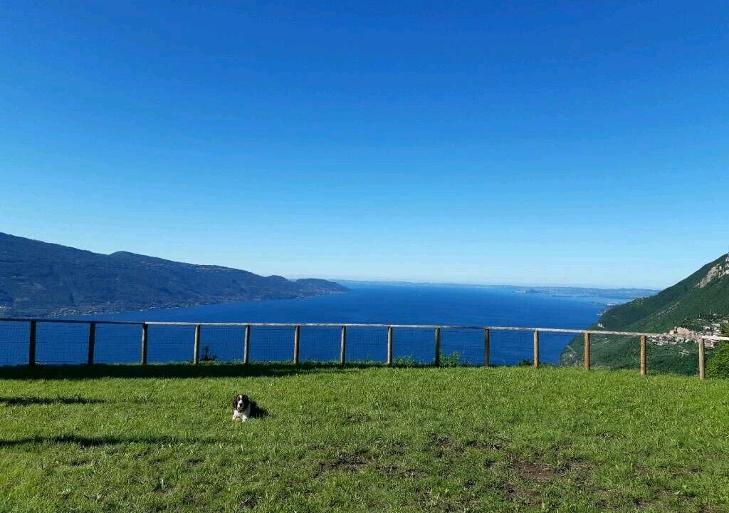 Photo of Outdoor in Gardola