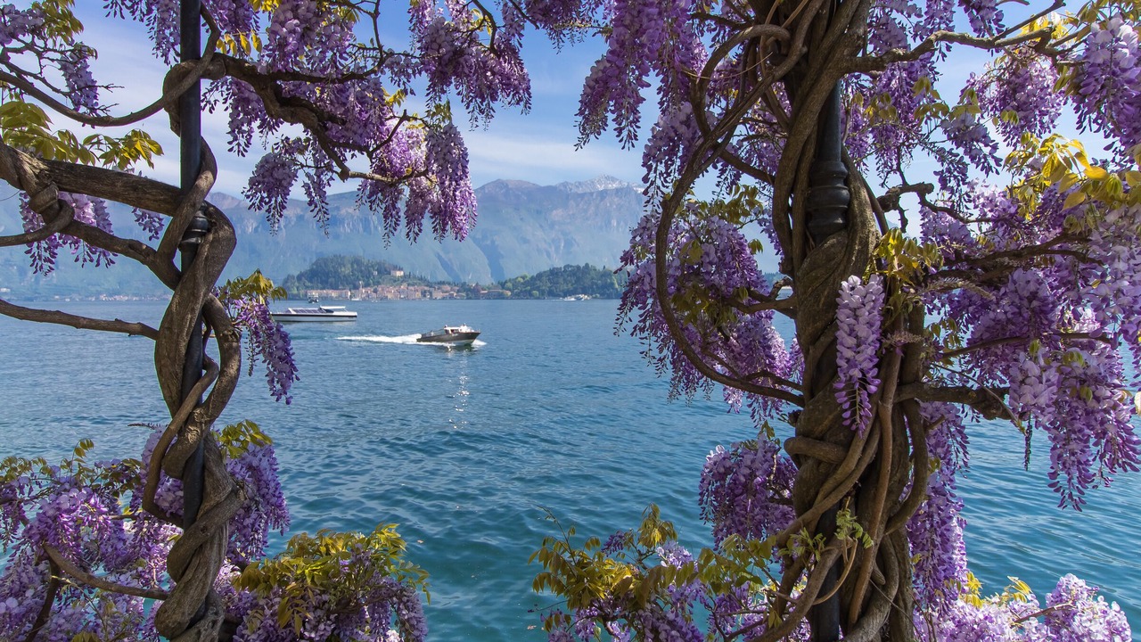 Photo of Others in Varenna