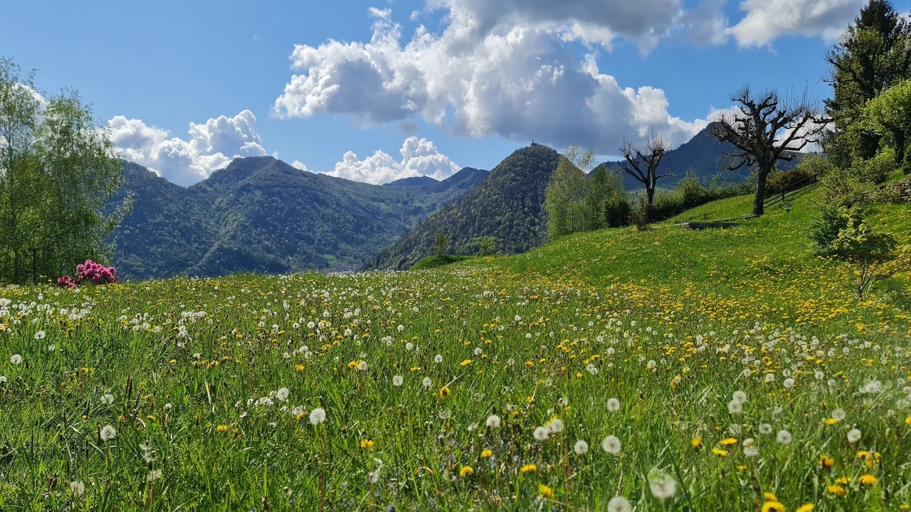 Photo of Outdoor in Cerano d'Intelvi