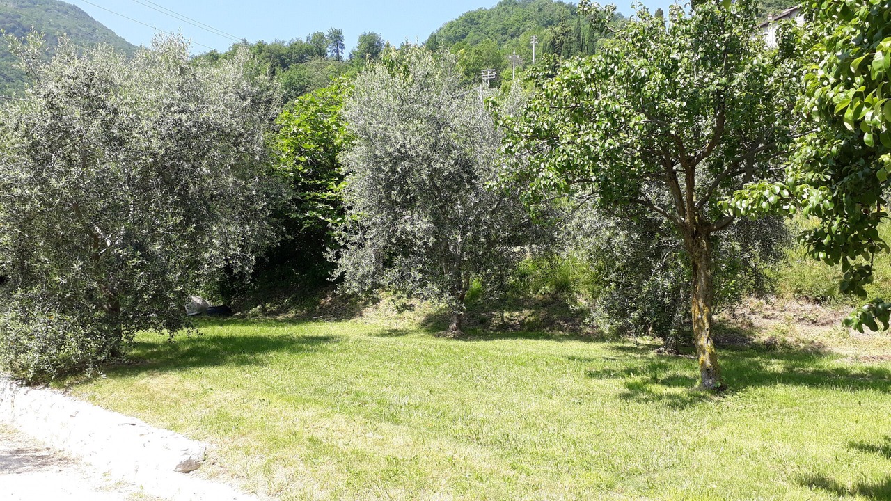 Photo of Outdoor in Tremosine