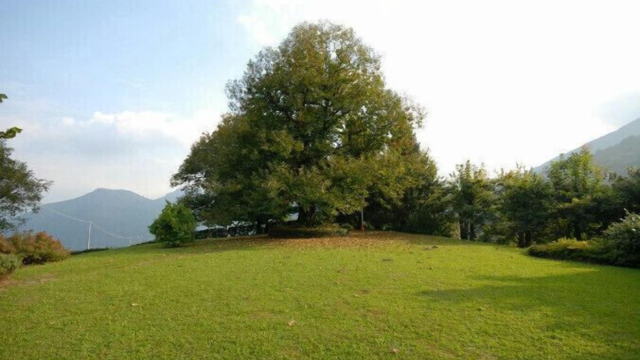 Photo of Outdoor in Cerano d'Intelvi
