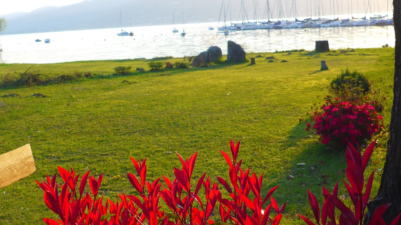 Photo of Outdoor in Monvalle
