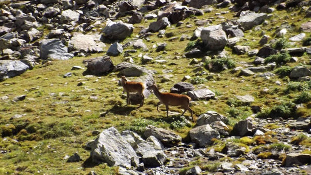 Photo of Outdoor in Temu