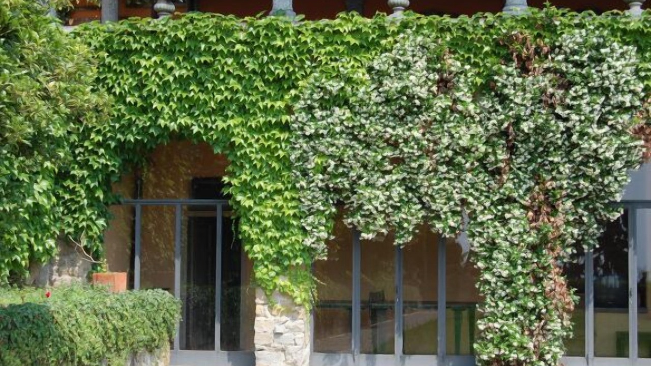 Photo of Bedroom in Barzano