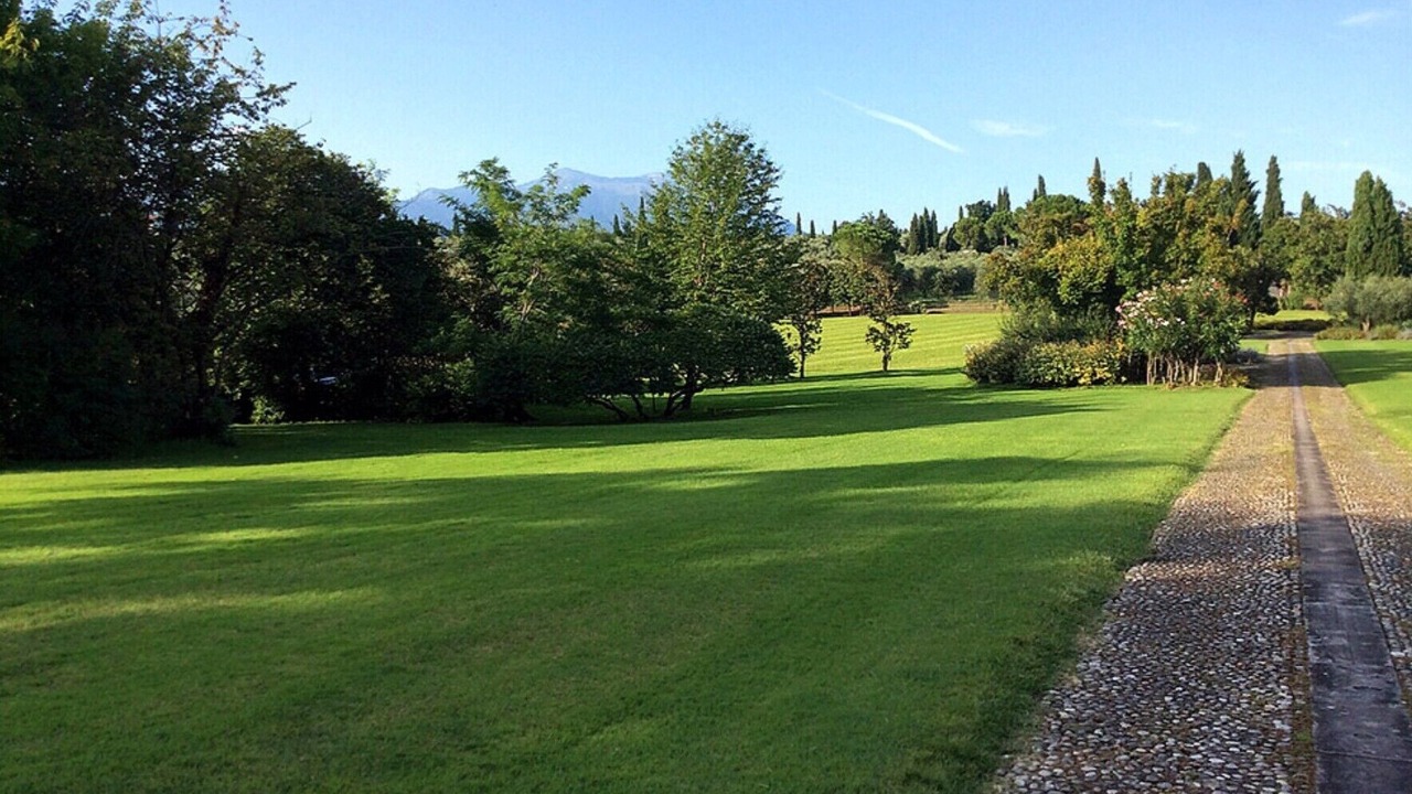 Photo of Others in Puegnago del Garda
