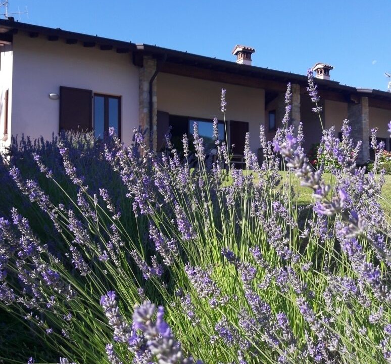 Photo of Outdoor in Portese