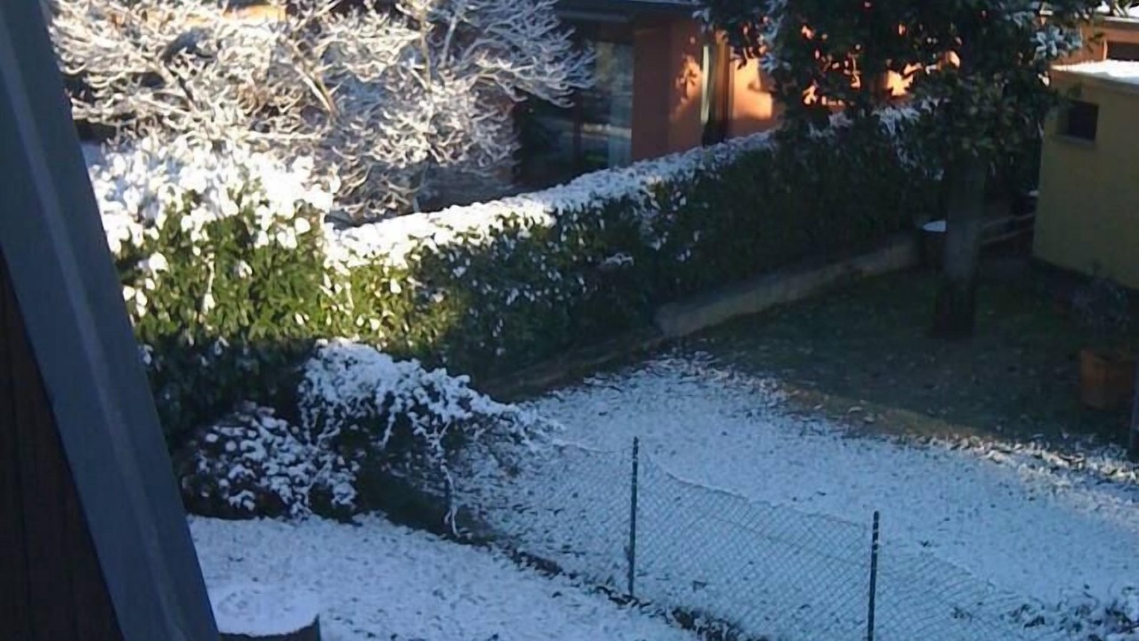 Photo of Outdoor in Arese