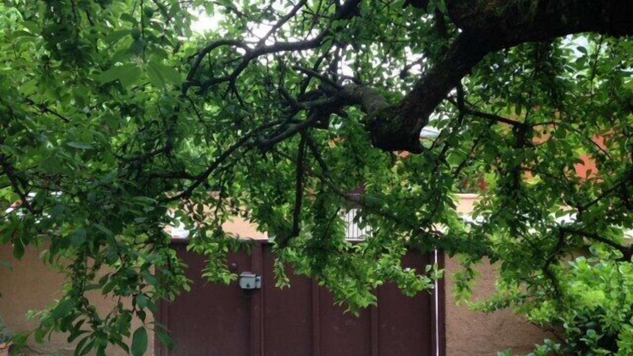 Photo of Outdoor in Arese