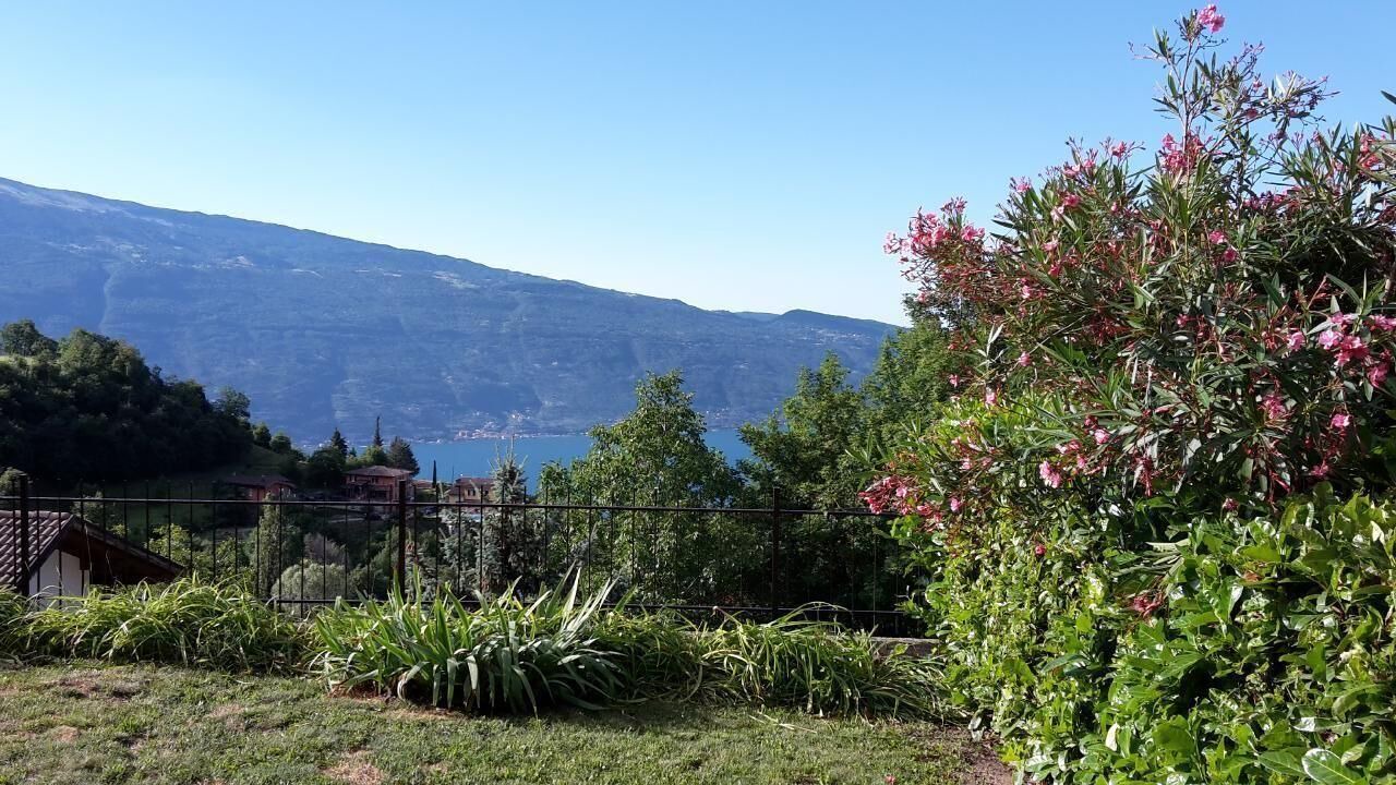 Photo of Outdoor in Aer