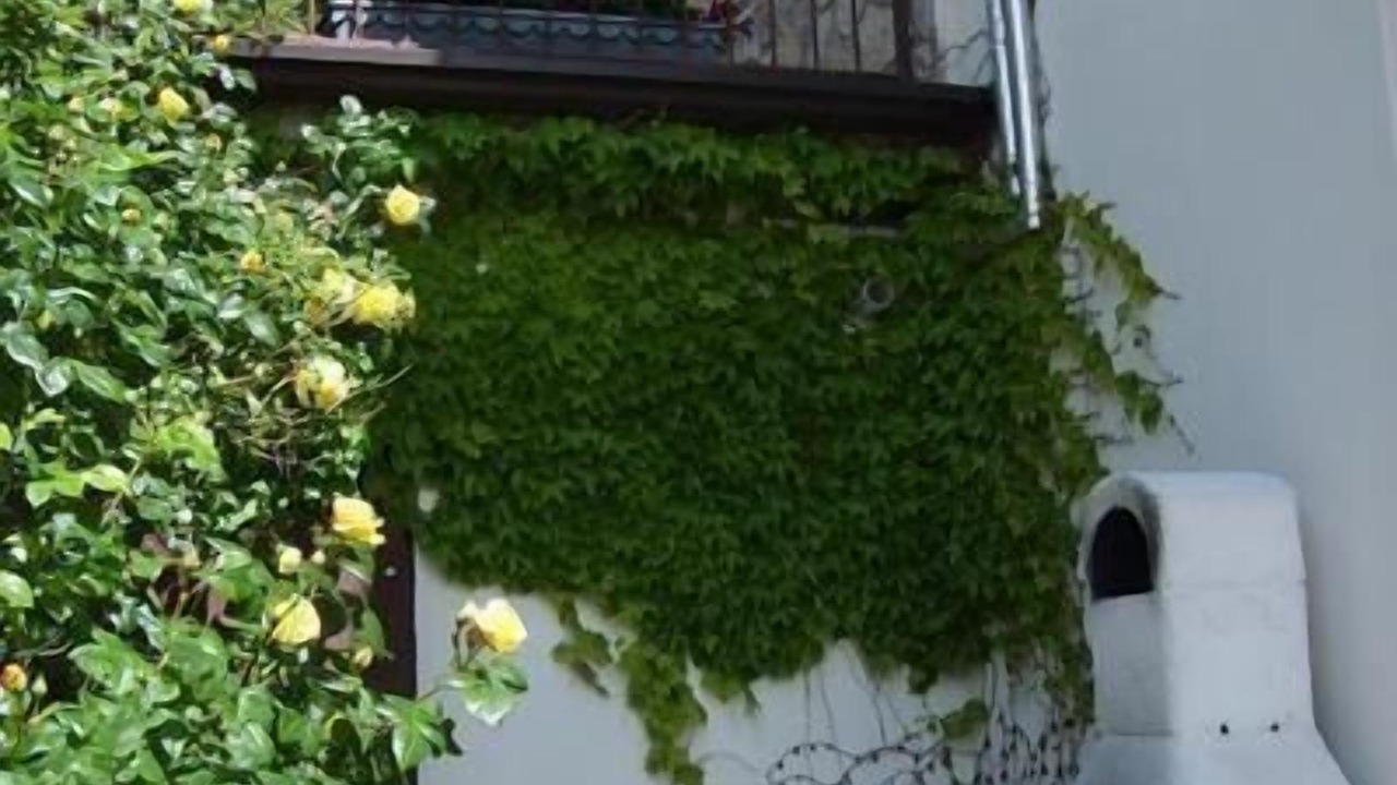 Photo of Outdoor in Aer