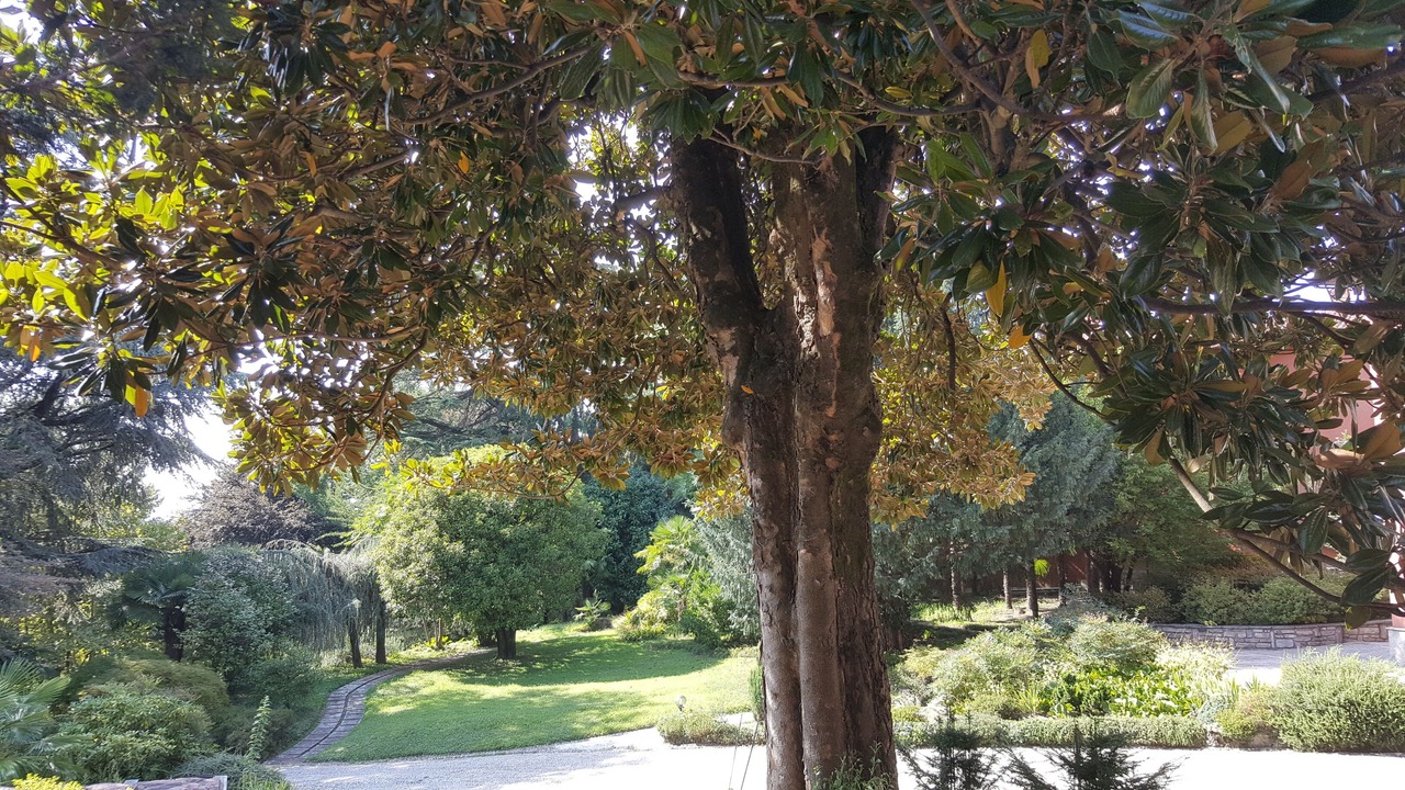 Photo of Outdoor in Besozzo