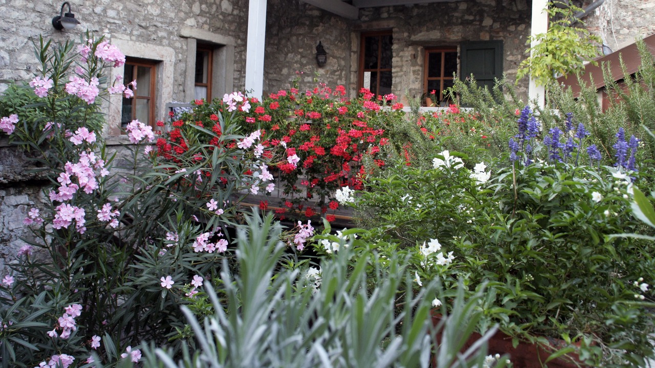 Photo of Outdoor in Muslone