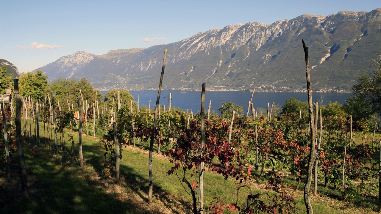 Photo of Outdoor in Muslone