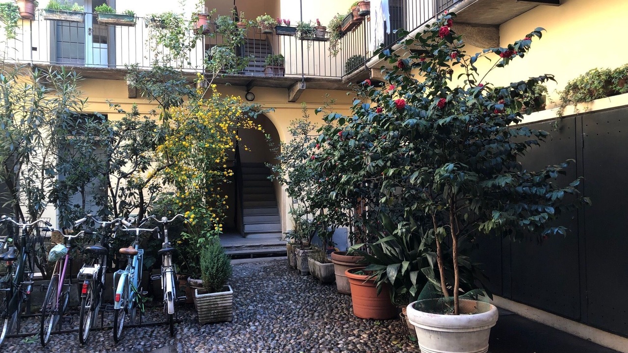 Photo of Outdoor in Navigli