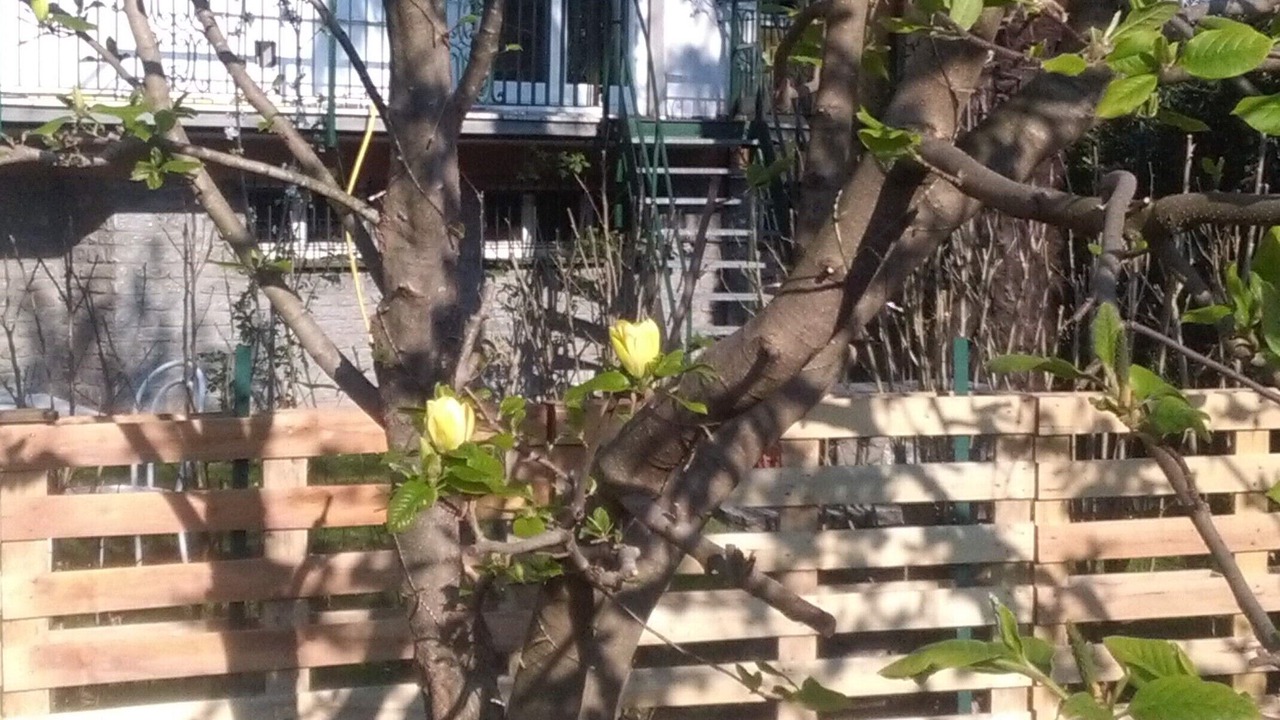 Photo of Outdoor in Monvalle