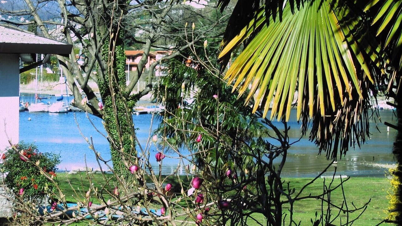 Photo of Outdoor in Monvalle