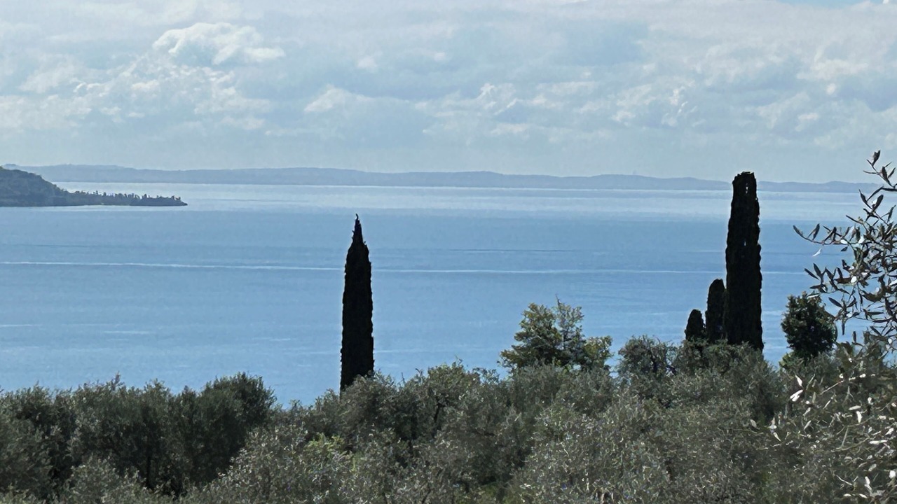 Photo of Others in Pulciano