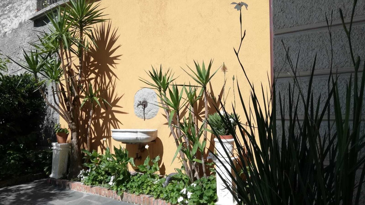 Photo of Outdoor in Marone