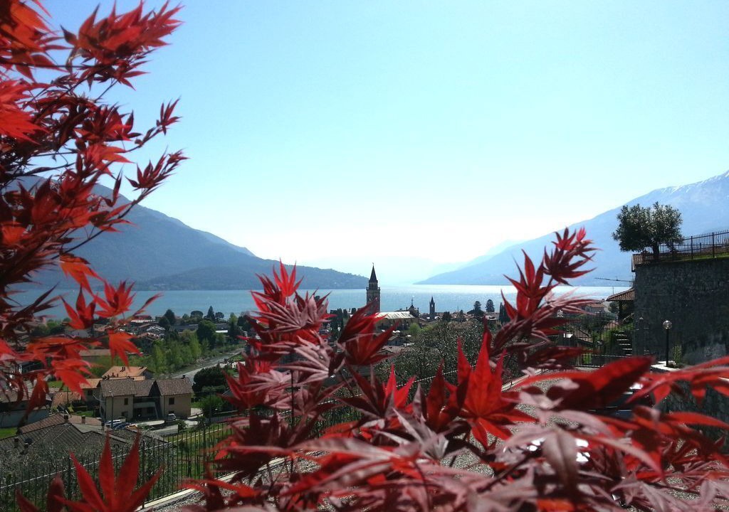 Photo of Outdoor in Domaso