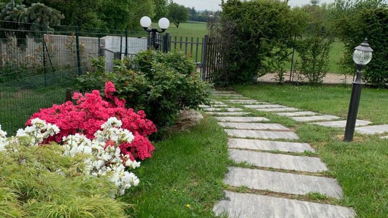 Photo of Outdoor in Cantello
