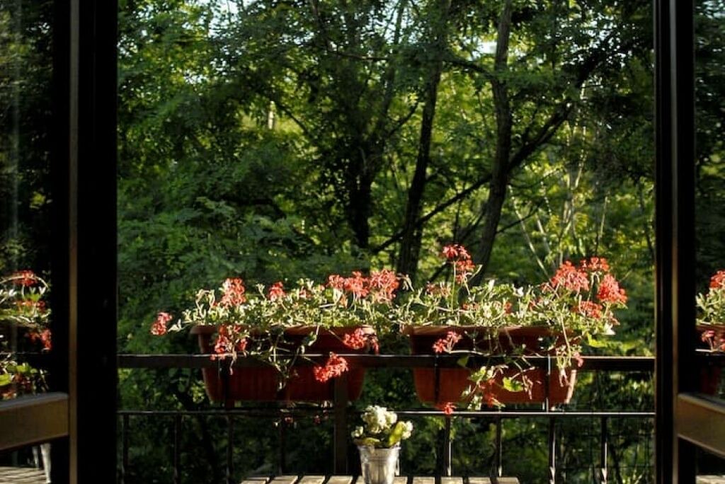 Photo of Outdoor in Garlasco