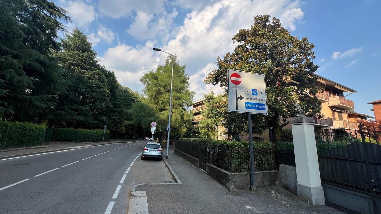 Photo of Others in Bergamo