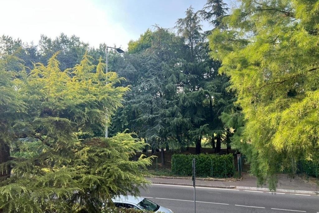 Photo of Others in Bergamo