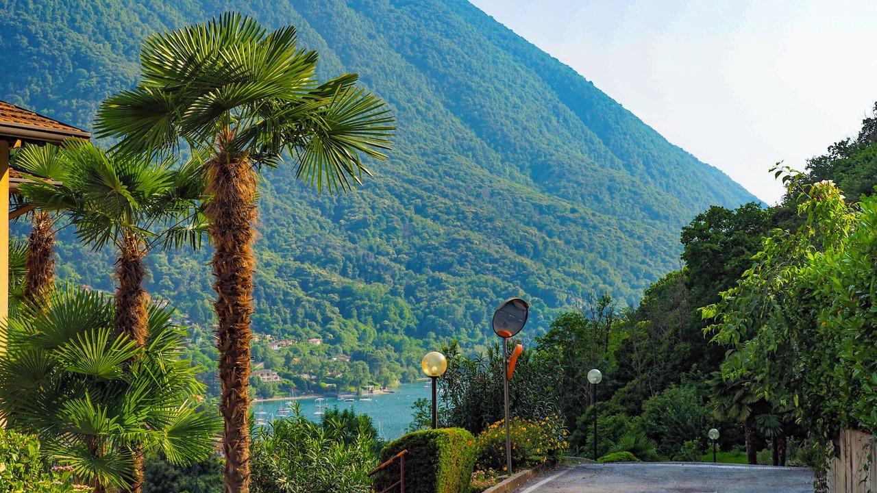 Photo of Outdoor in Castello