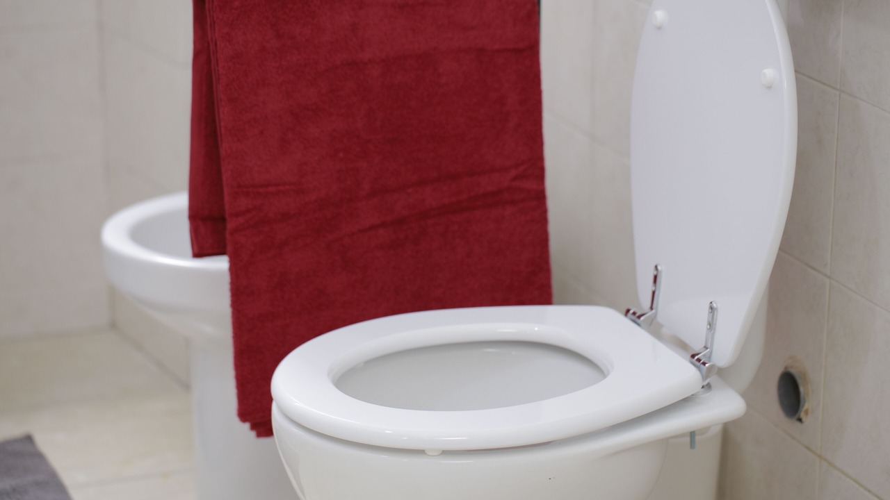 Photo of Bathroom in Ponte Seveso
