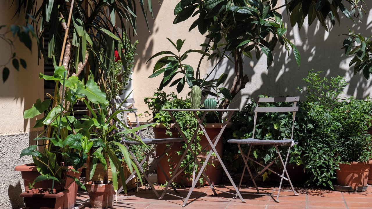 Photo of Outdoor in Cremona