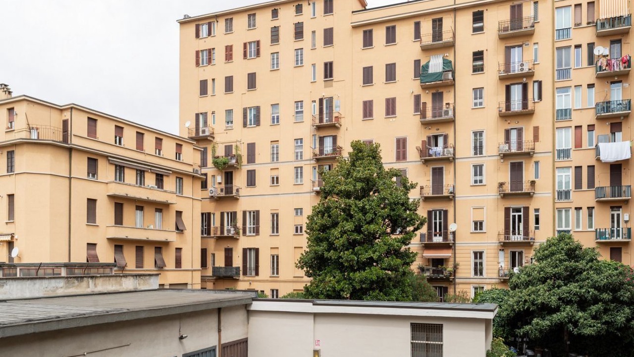 Photo of Outdoor in Tricolore