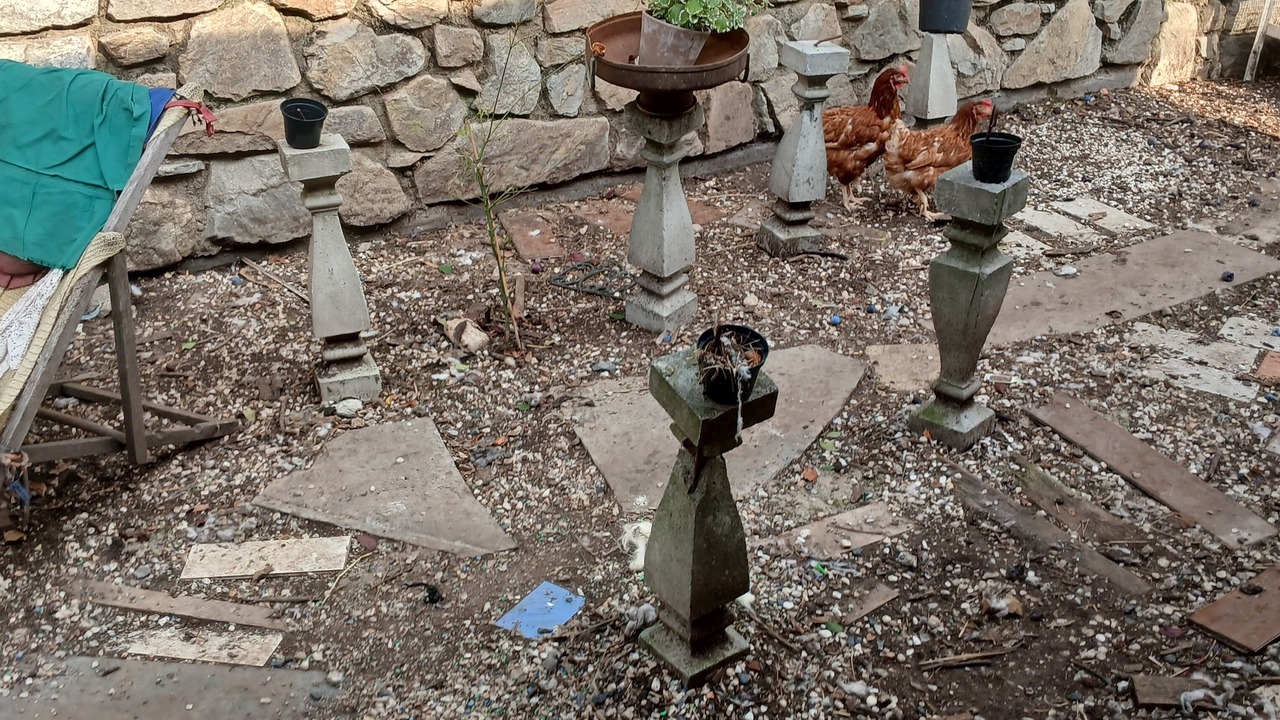 Photo of Outdoor in Regoledo