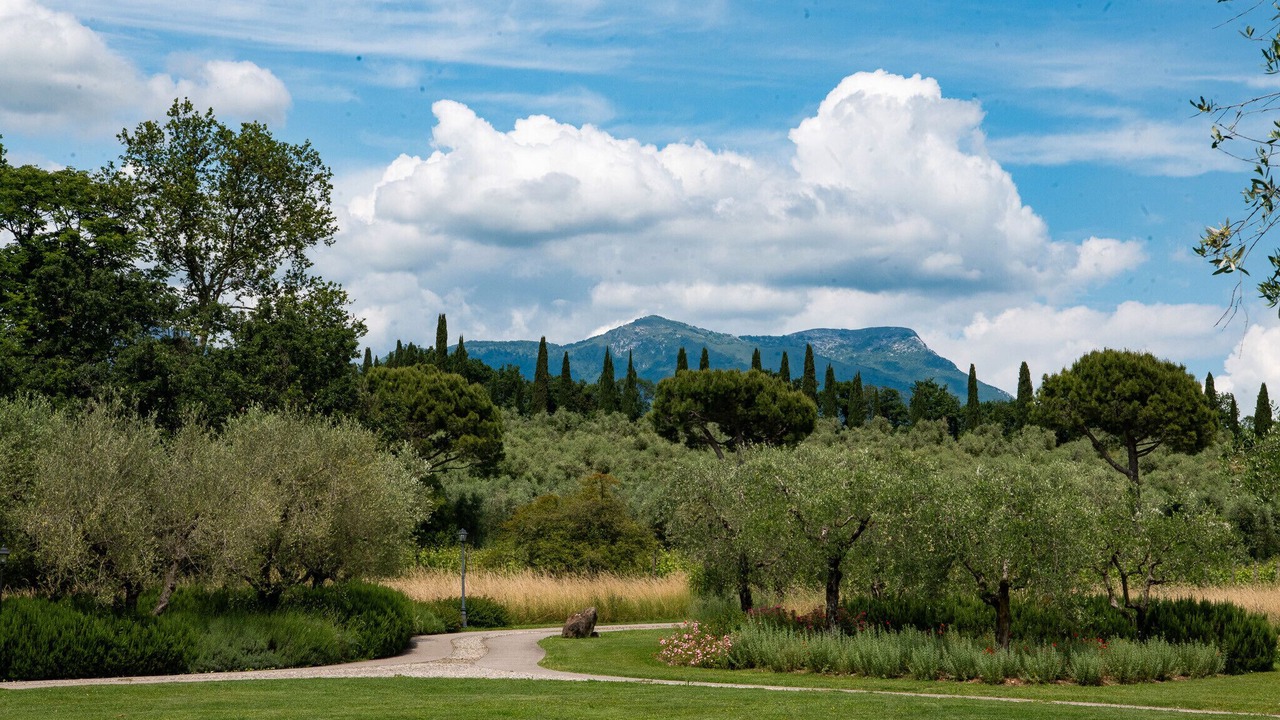 Photo of Others in Puegnago del Garda