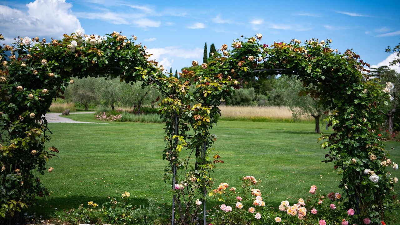 Photo of Outdoor in Puegnago del Garda
